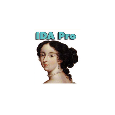 IDA Pro交互式反汇编工具