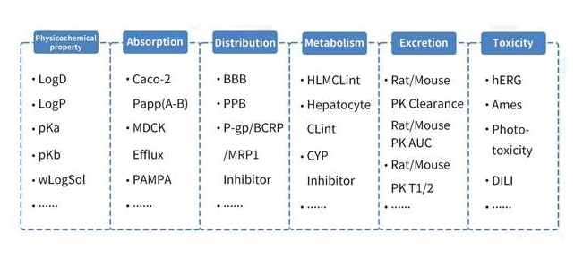 ADMET Ranker™提供超过100种关键ADMET性质预测.png