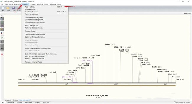 snapgene怎么显示氨基酸序列