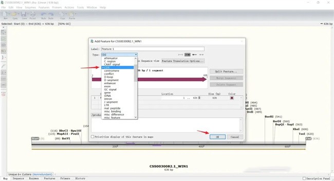 snapgene怎么显示氨基酸序列