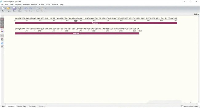 snapgene怎么显示氨基酸序列