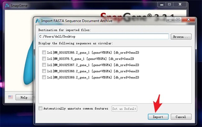 snapgene怎么比对两个序列