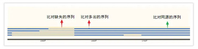 snapgene怎么比对两个序列