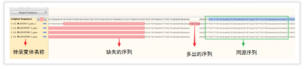 snapgene怎么比对两个序列