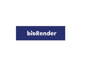 BioRender科研绘图软件